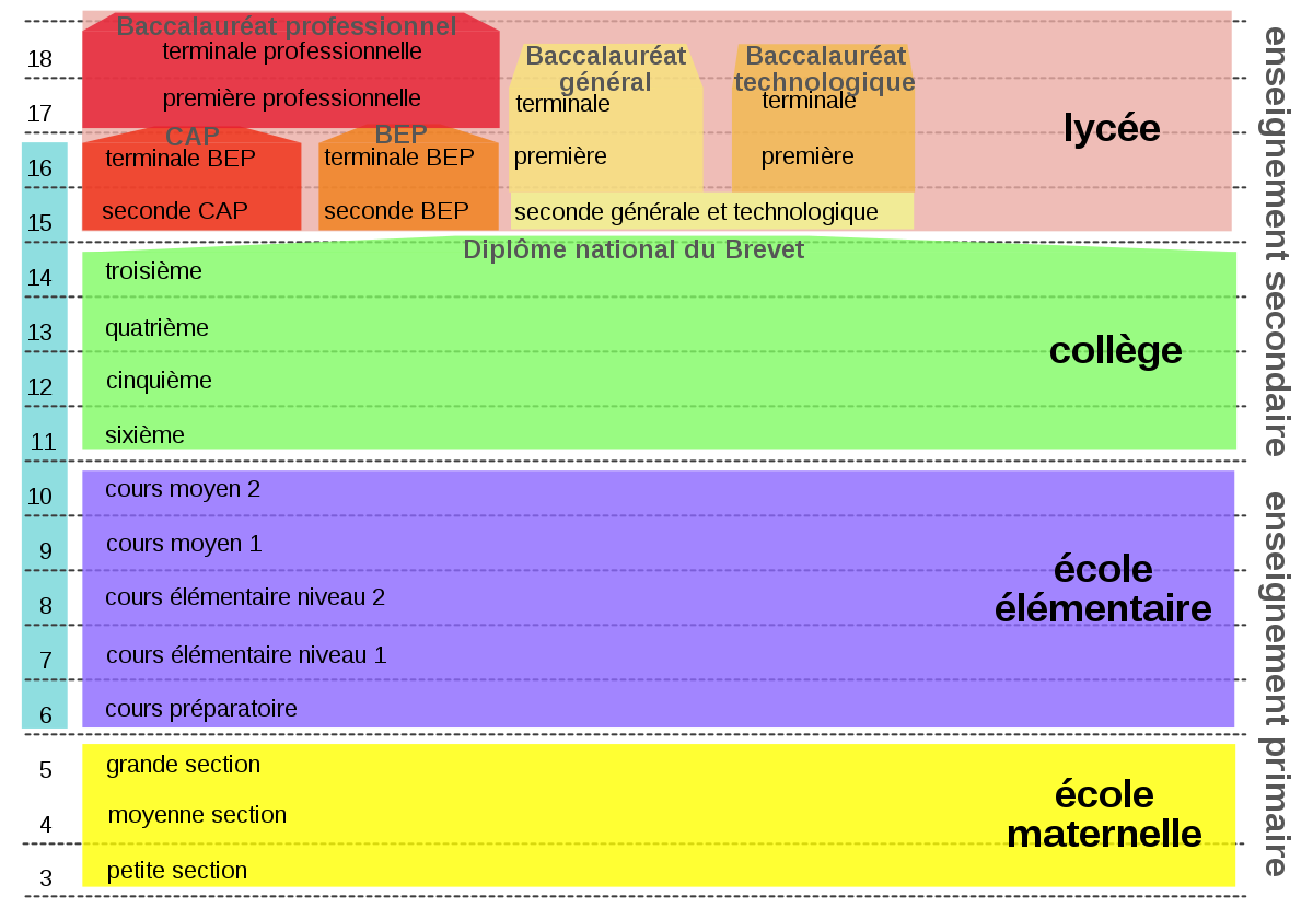 Image de parcours d'éducation d'école maternelle jusqu'au lycée, source = https://upload.wikimedia.org/wikipedia/commons/b/b7/EducationFr.svg