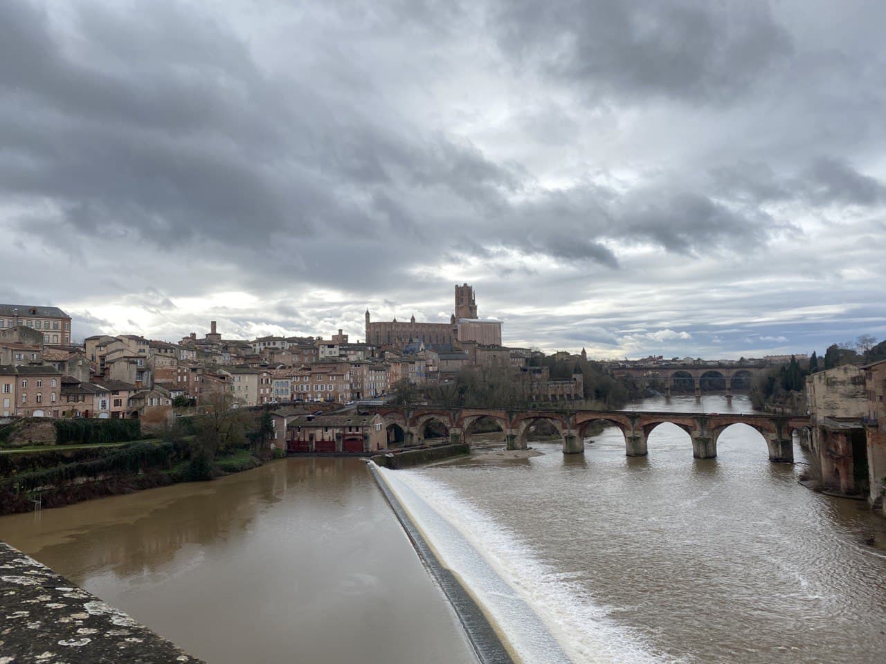 Albi