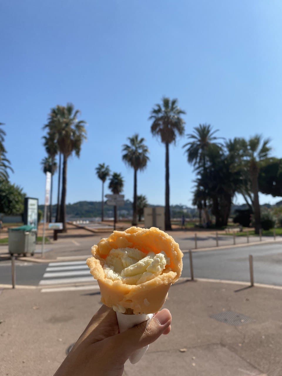 Glace Artisanal 1 