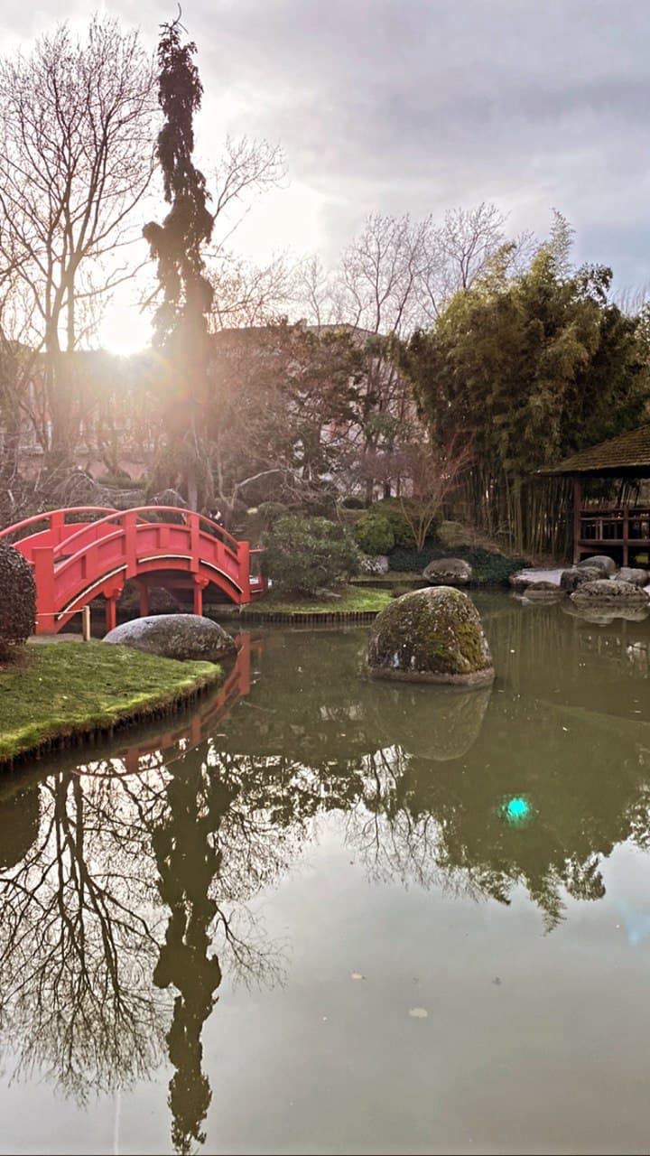 Jardin Japonais