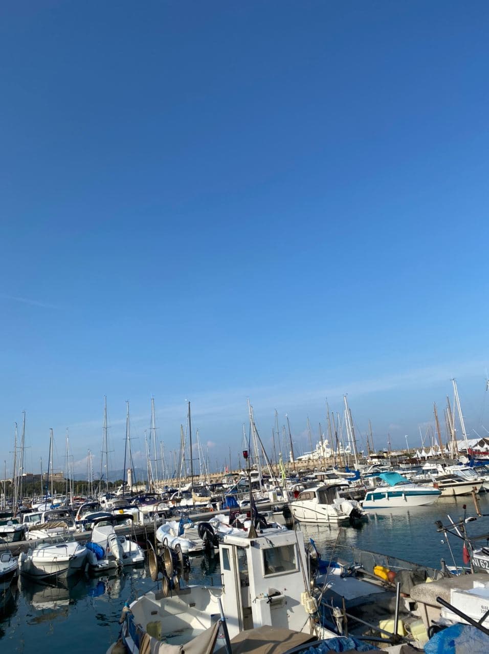 Le port Vauban
